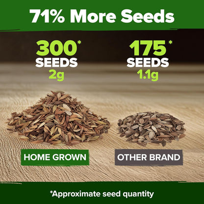 HOME GROWN Pink Zinnia Seeds – 300 Luminosa Zinnias 0.5g, Easy to Grow Annual Flower Seeds for Planting Outdoors for 2026, Fast Blooming, Heat Tolerant Herb Seed Garden Companion (Zinnia elegans)